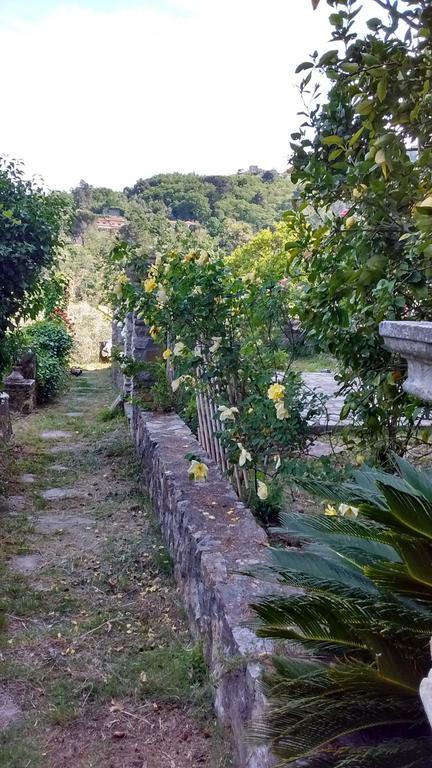لا سبيتسْيا Villa Federici المظهر الخارجي الصورة